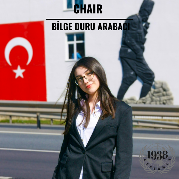 WEBBİLGE